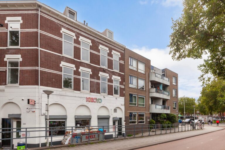 Paul Krugerstraat en Maashaven Oostzijde, Rotterdam